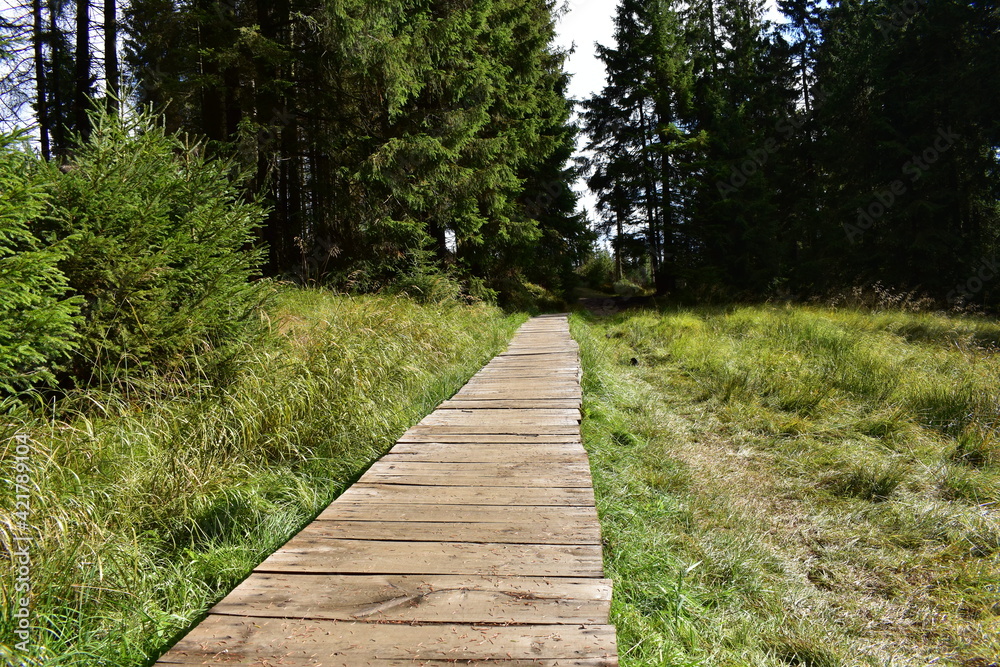 Obraz premium Landschaftsfotografie im Harz