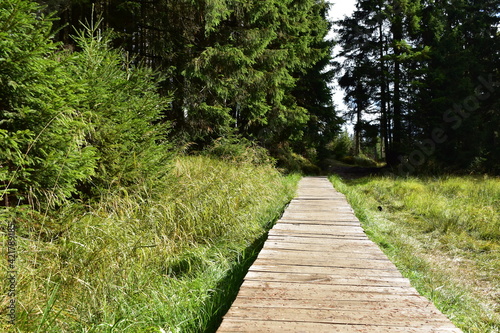 Landschaftsfotografie im Harz