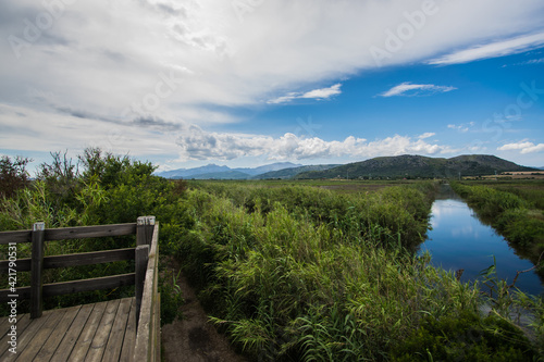 Beautiful landscape of the Albufera Natural Park in Muro and Sa Pobla. Palma de Mallorca, Spain