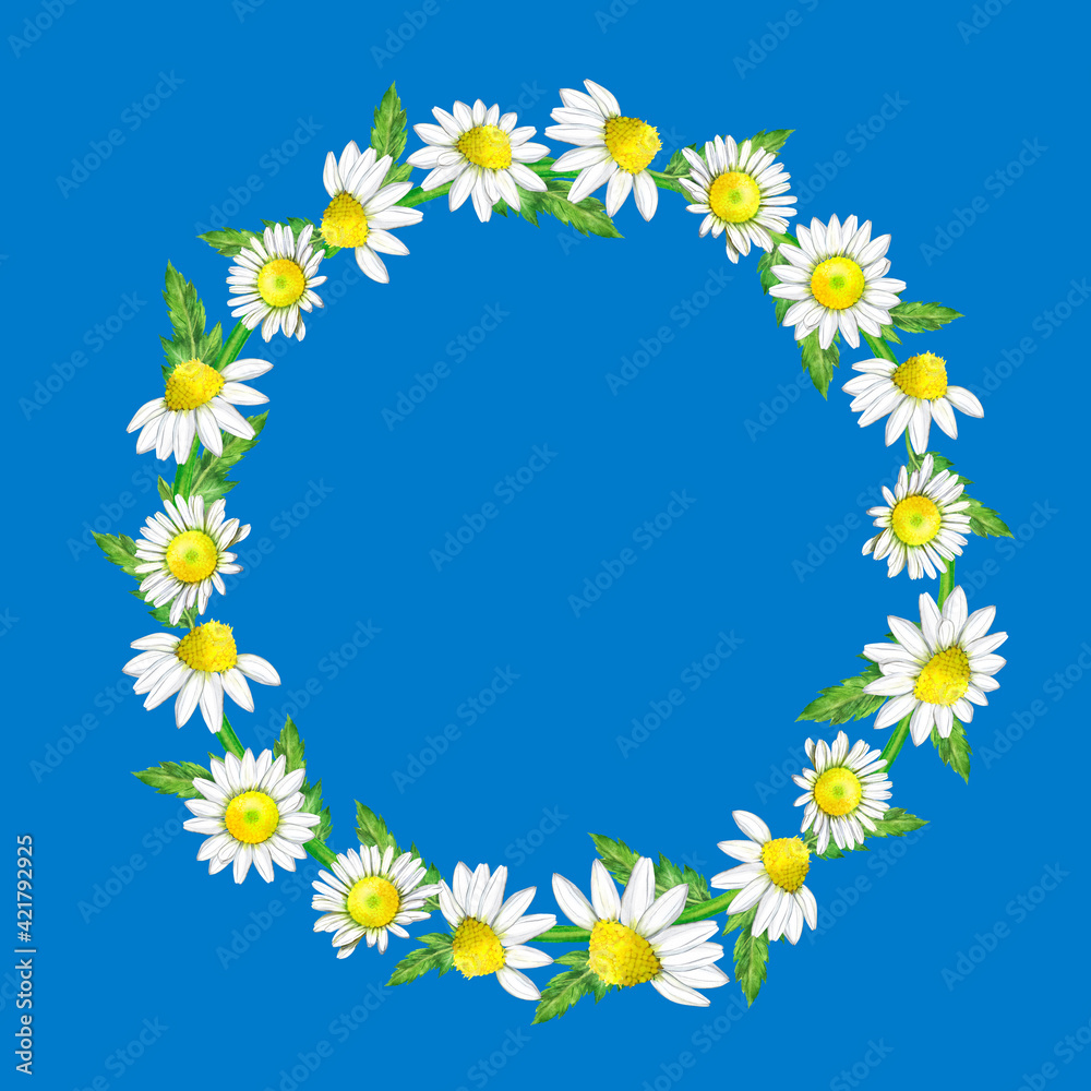 Watercolor illustration of a wreath of daisies on a blue background