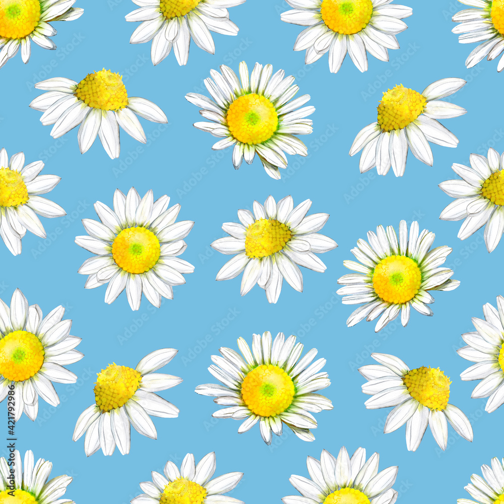 Watercolor seamless pattern with daisies on a blue background Watercolor seamless pattern with daisies on a blue background