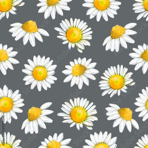 Watercolor seamless floral pattern with daisies on gray background 