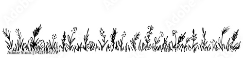 Fototapeta Naklejka Na Ścianę i Meble -  Hand-drawn simple vector drawing in black outline. Wild meadow grasses, wildflowers, spikelets, inflorescences. Lawn, herbal plants, long banner.