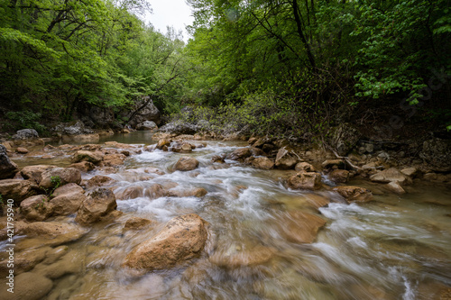 Flowing stream on the forest