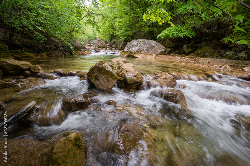 Flowing stream on the forest