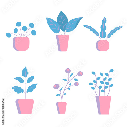 Set of vector icons of different houseplants in bright pink pots.
