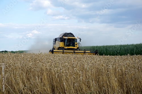 agriculural field photo