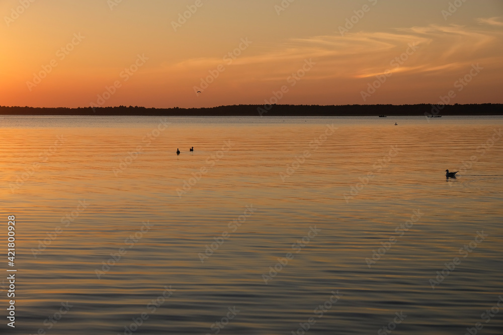 Ideal sunset over the lake. Calm twilight over calm water. Seagulls sway on the waves. Lake Svityaz, Ukraine.  Copy space. 
