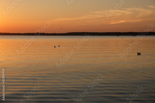 Ideal sunset over the lake. Calm twilight over calm water. Seagulls sway on the waves. Lake Svityaz, Ukraine. Copy space. 