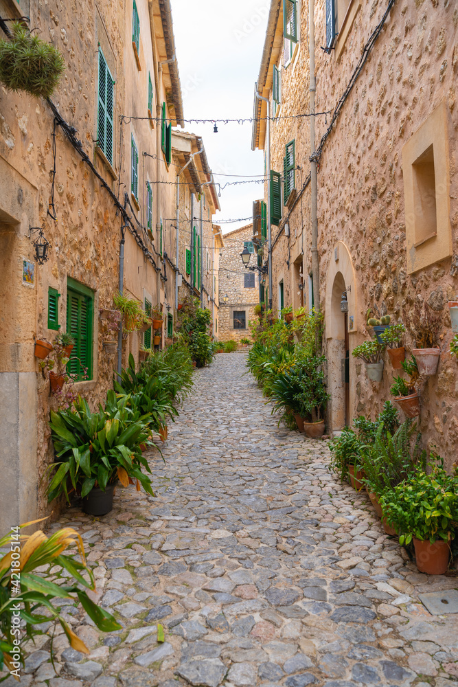 Beautiful streets with plants in the village of Valldemossa in the Sierra de Tramuntana. Palma de Mallorca, Spain