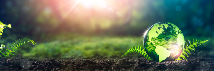 Crystal Earth On Soil In Forest With Ferns And Sunlight - Environment / Earth Day Concept