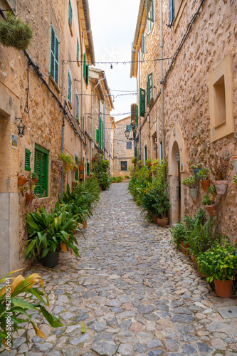 Fototapeta Naklejka Na Ścianę i Meble -  Beautiful streets with plants in the village of Valldemossa in the Sierra de Tramuntana. Palma de Mallorca, Spain