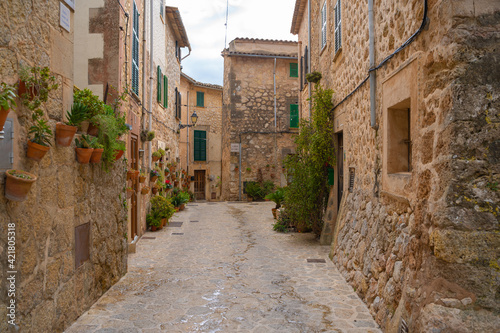 Fototapeta Naklejka Na Ścianę i Meble -  Beautiful streets with plants in the village of Valldemossa in the Sierra de Tramuntana. Palma de Mallorca, Spain (Perfect for Copyspace)