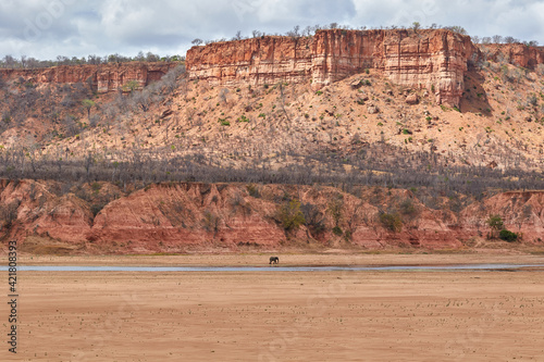 Photography Elephants in the dry riverbed of Gonarezhou