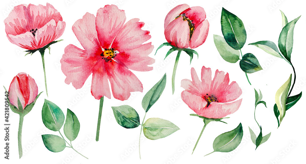 Watercolor pink flowers and green leaves Illustrations