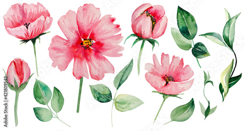 Watercolor pink flowers and green leaves Illustrations