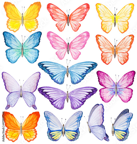 Watercolor butterfly Illustrations set