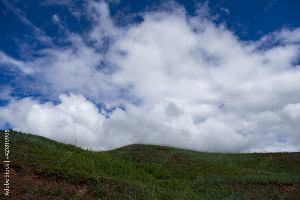 summer clouds and a green field