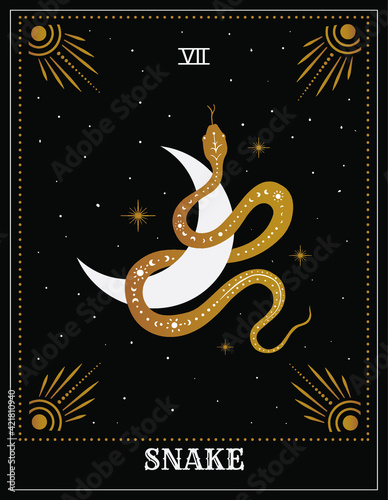 tarot card snake with moon. Occult, fortune telling, tapestry