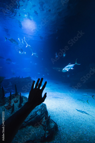 Silueta de mano en un acuario