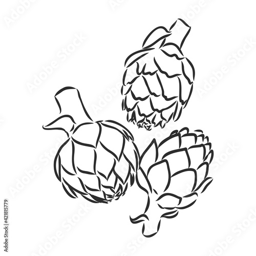 vector set of engraving illustration green vegetables artichoke on white background