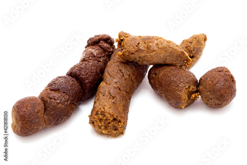 poo closeup, cat excrement with clipping path isolated on white background. photo