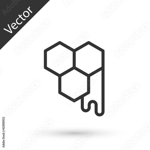 Grey line Honeycomb icon isolated on white background. Honey cells symbol. Sweet natural food. Vector