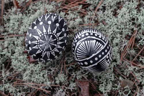 Two artistically white and black waxed Easter eggs according to Lithuanian tradition on gray moss. Selective focus  top view  closeup. The concept of rebirth  resurrection and spring