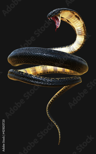 3d King Cobra The World's Longest Venomous Snake Isolated on White Background, King Cobra Snake, 3d Illustration, 3d Rendering  photo