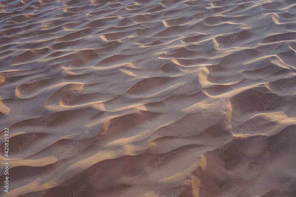 Sand in the desert formed by the wind (sand ripple)