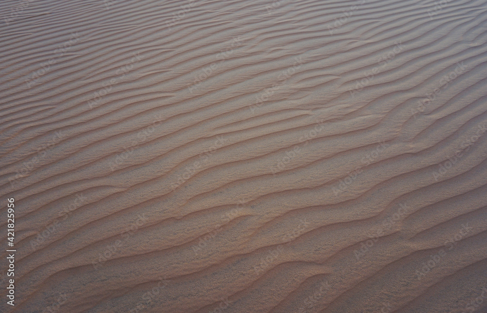 Fototapeta premium Ripples in the sand 