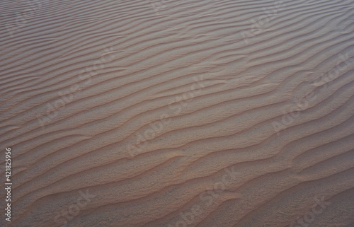 Ripples in the sand 