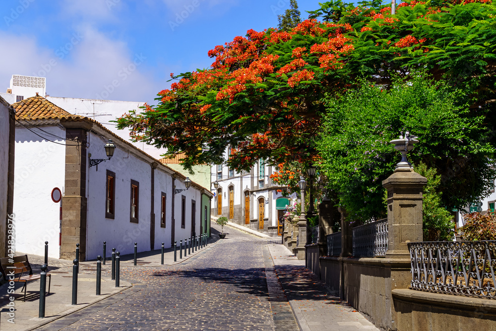 Typical streets of a small Canarian town with white houses and bright colors. Arucas Gran Canaria.
