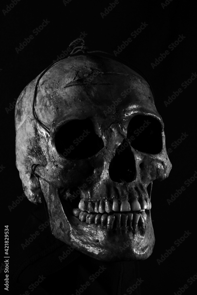 Obraz premium skull on black
