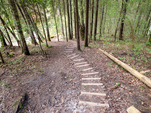 Walking path in the forest with wooden stairs