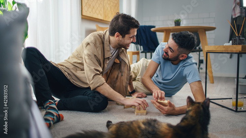 Happy Gay Couple Playing Wooden Block Tower Game while Resting on the Floor. Cheerful Young Boyfriends Enjoy Spending Time Together Having Fun, Playing Games, Talking, Laughing. Pet Cat resting beside © Gorodenkoff