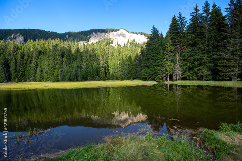 The Grassy Smolyan lake at Rhodope Mountains, Bulgaria