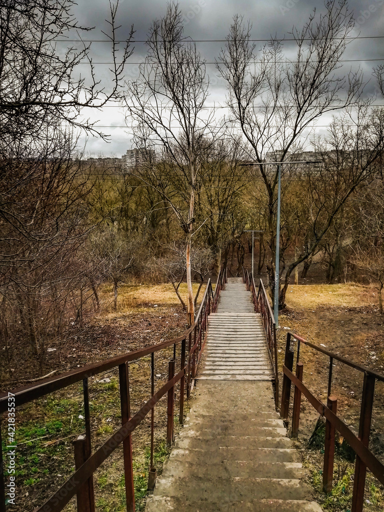 An old staircase n the forest leading down close-up. An old staircase n the forest leading down close-up.
