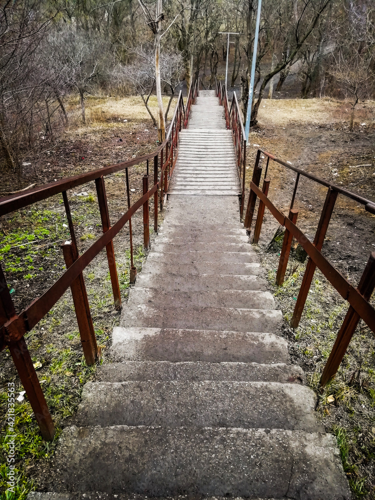 A long staircase in the spring with transitions down among the forest close-up, in the background a forest with a path. A long staircase in the spring with transitions down among the forest close-up, in the background a forest with a path.