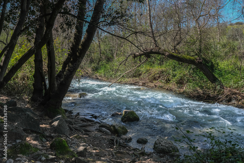 Obraz premium View of Nahal [stream] Hermon (Banias) strong water flow, the easternmost of the northern tributaries of the Jordan River, Golan Heights, Israel. 