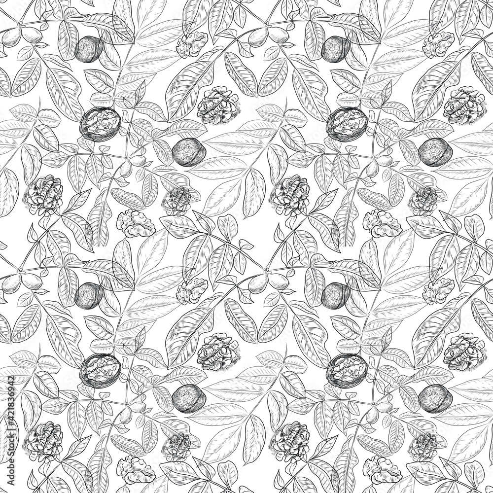 Walnuts hand-drawn illustration. Natural product vegetarianism. Sketch print textile vintage plants harvest patern seamless