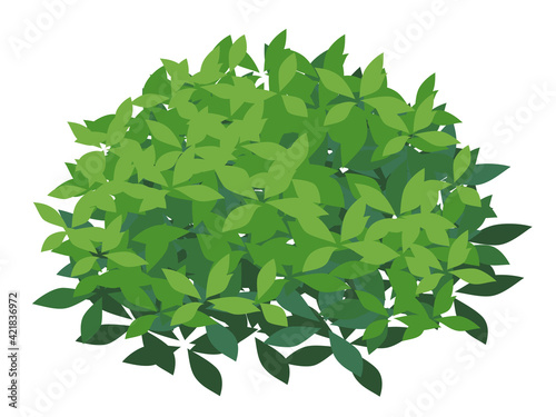 ツツジの木のイラスト_低木