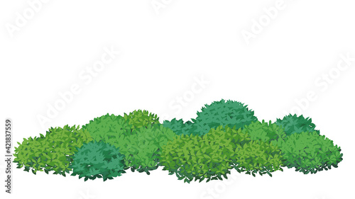 低木のフレームイラスト素材_木の葉の茂み