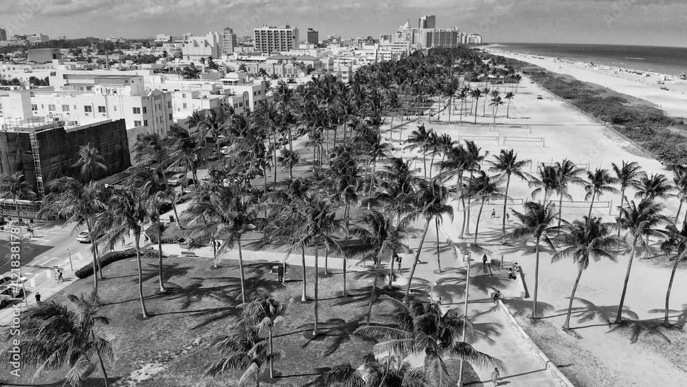 Obraz Aerial view of beautiful MIami Beach palms ad beach from drone point of view, Florida