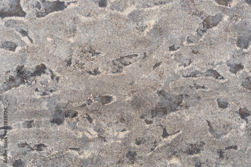 Brown dirt footpath backdrop. Natural mud texture pattern as abstract background.