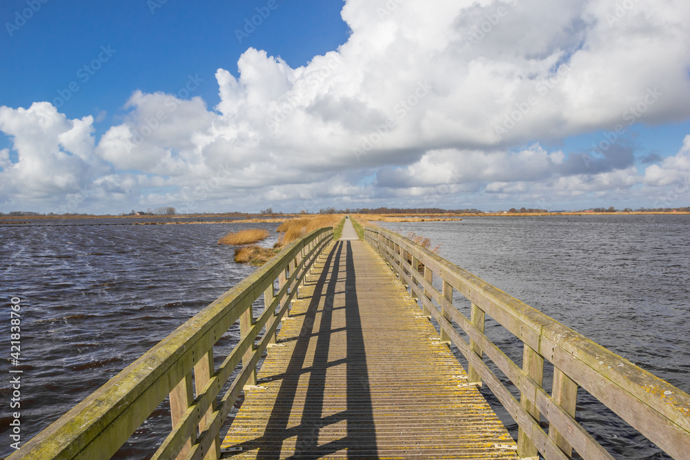 Wooden bridge over the lakes in Roegwold nature reserve in Groningen, Netherlands