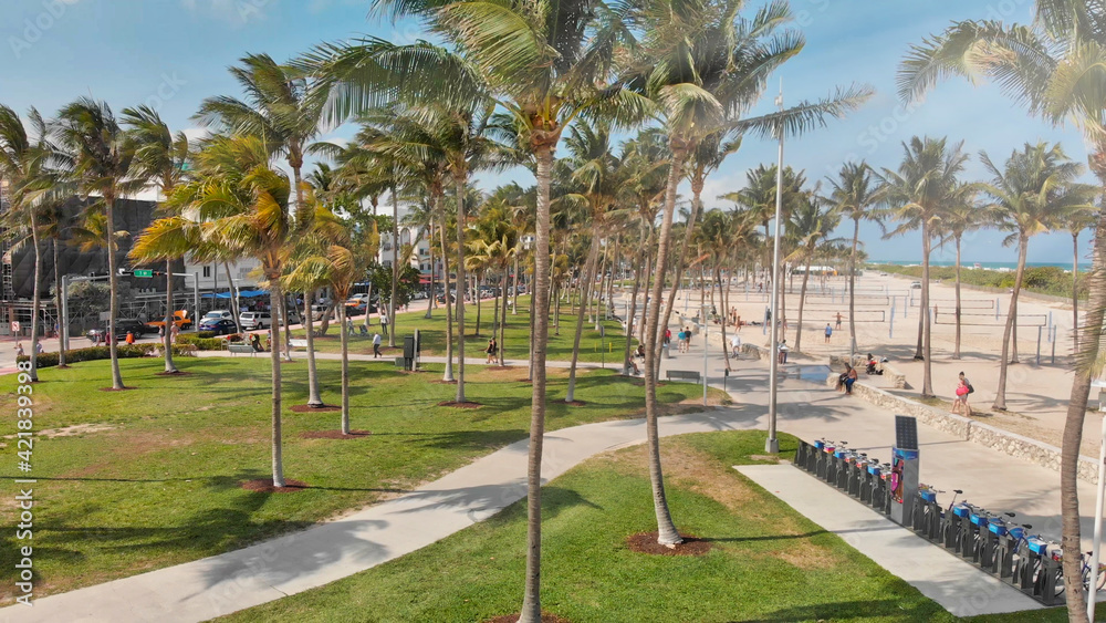 Aerial view of beautiful MIami Beach palms ad beach from drone point of view, Florida Aerial view of beautiful MIami Beach palms ad beach from drone point of view, Florida
