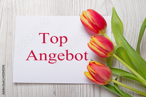 Top Angebot Frühling