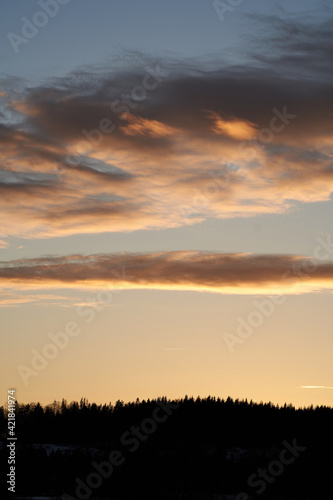 A beautiful evening in the winter forest. The snow is melting and it is spring. Shot at Bogstad, Oslo, Norway. 