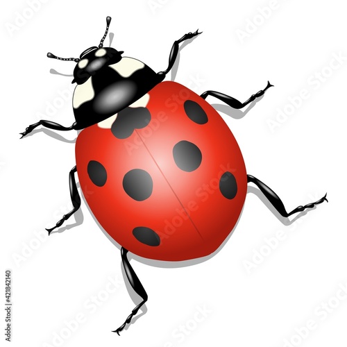 Coccinelle en 3D avec ombre sur un fond blanc